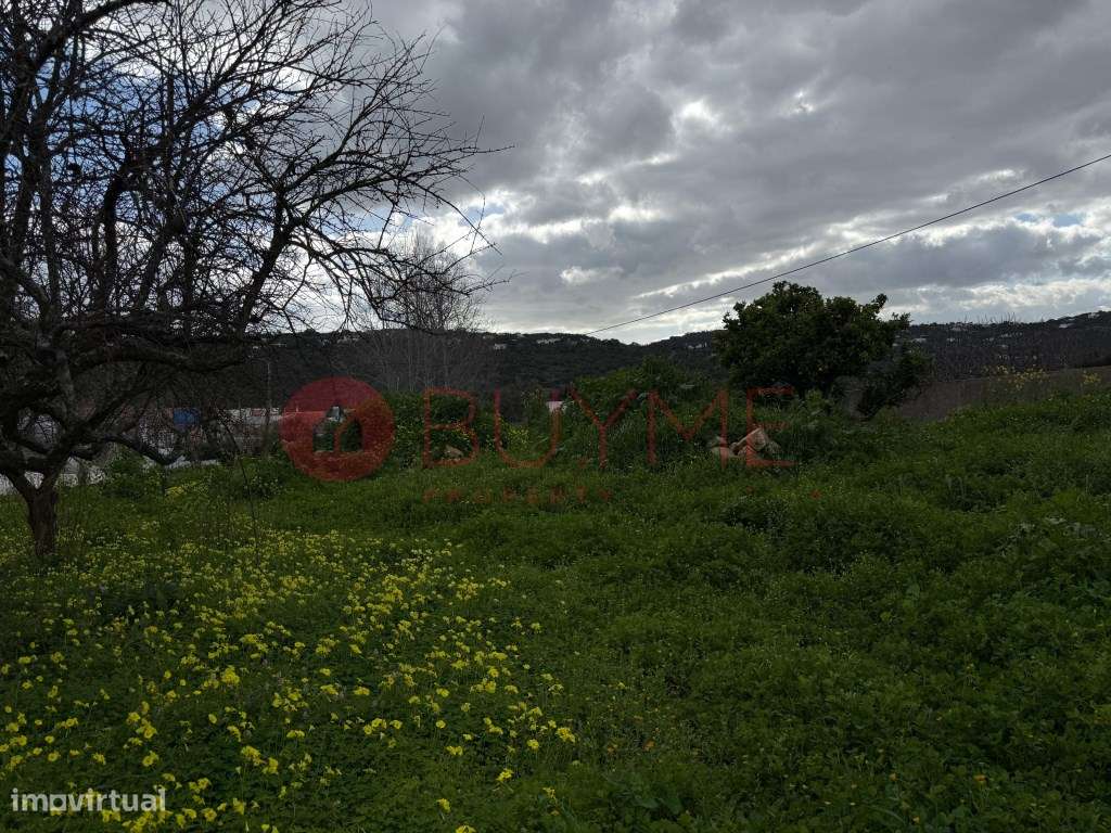 Terreno Urbano com Projeto Aprovado | São Brás de Alportel - Grande imagem: 5/22