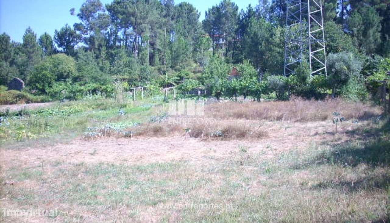 Venda Terreno, Espadanedo, Cinfães - Grande imagem: 4/14