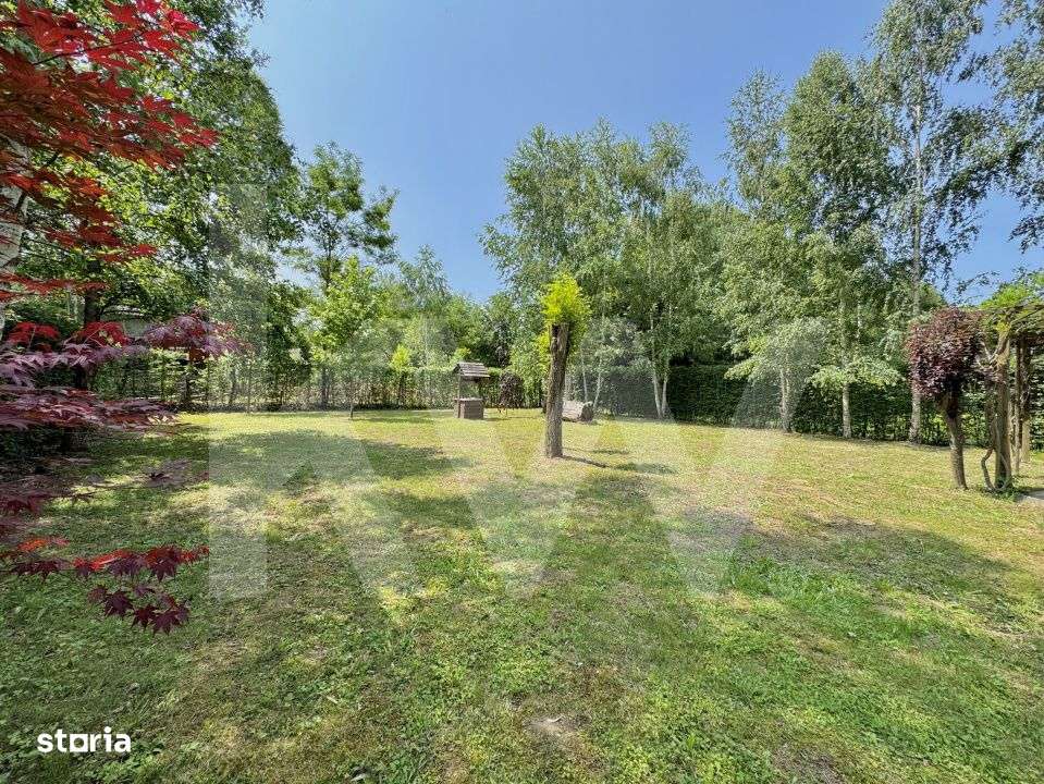 Cabana rustica de vis pe Valea Avrigului – un colt de rai in mijlocu - Imagine principală: 4/19