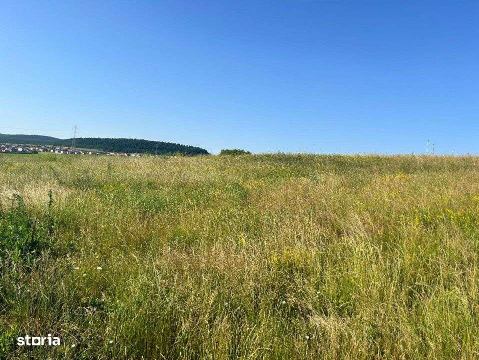 Teren intravilan 2.900mp front la strada 18m zona Chinteni lac - Imagine principală: 1/4