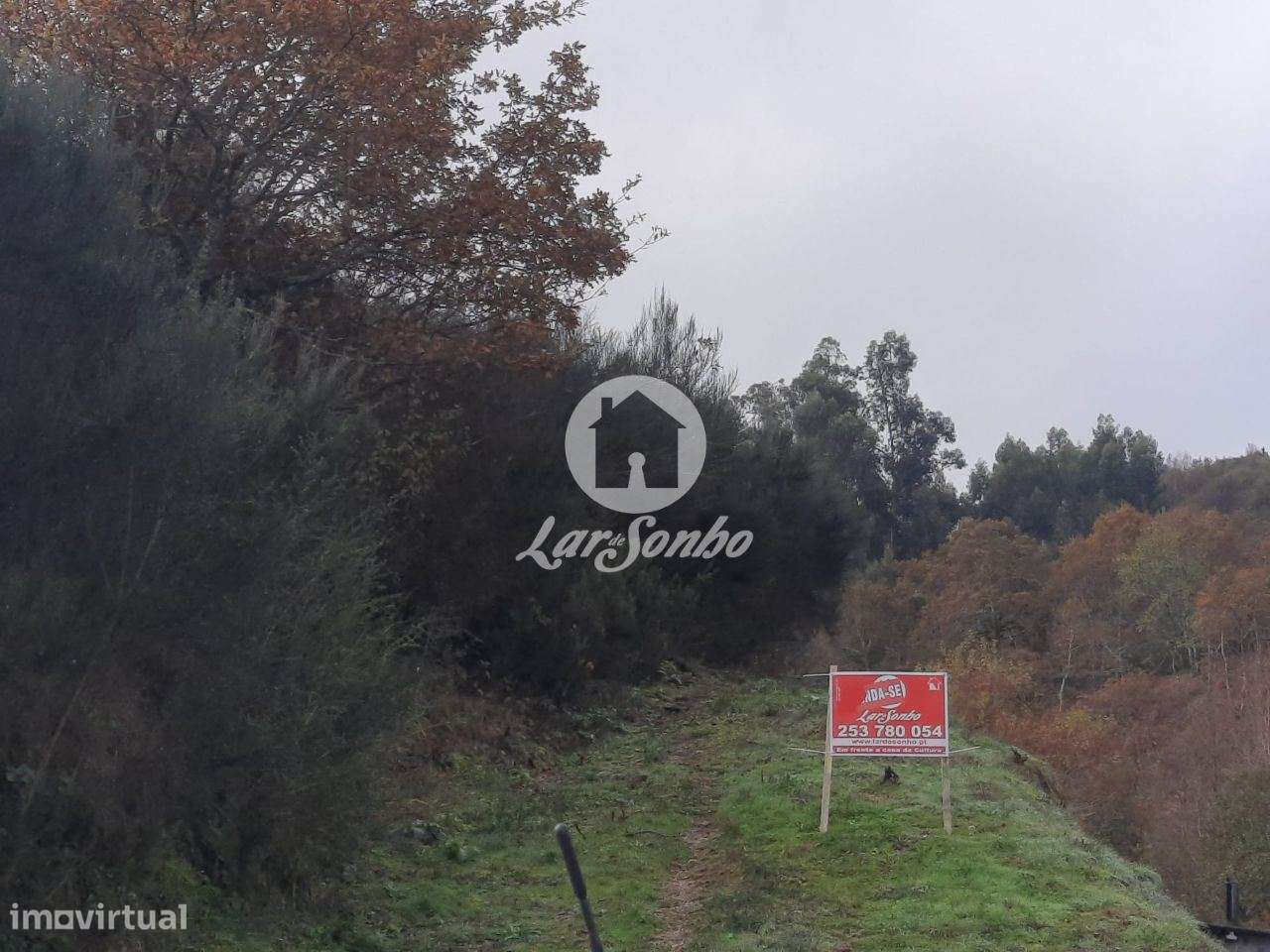 Terreno rústico Ribas celorico de Basto - Grande imagem: 3/4