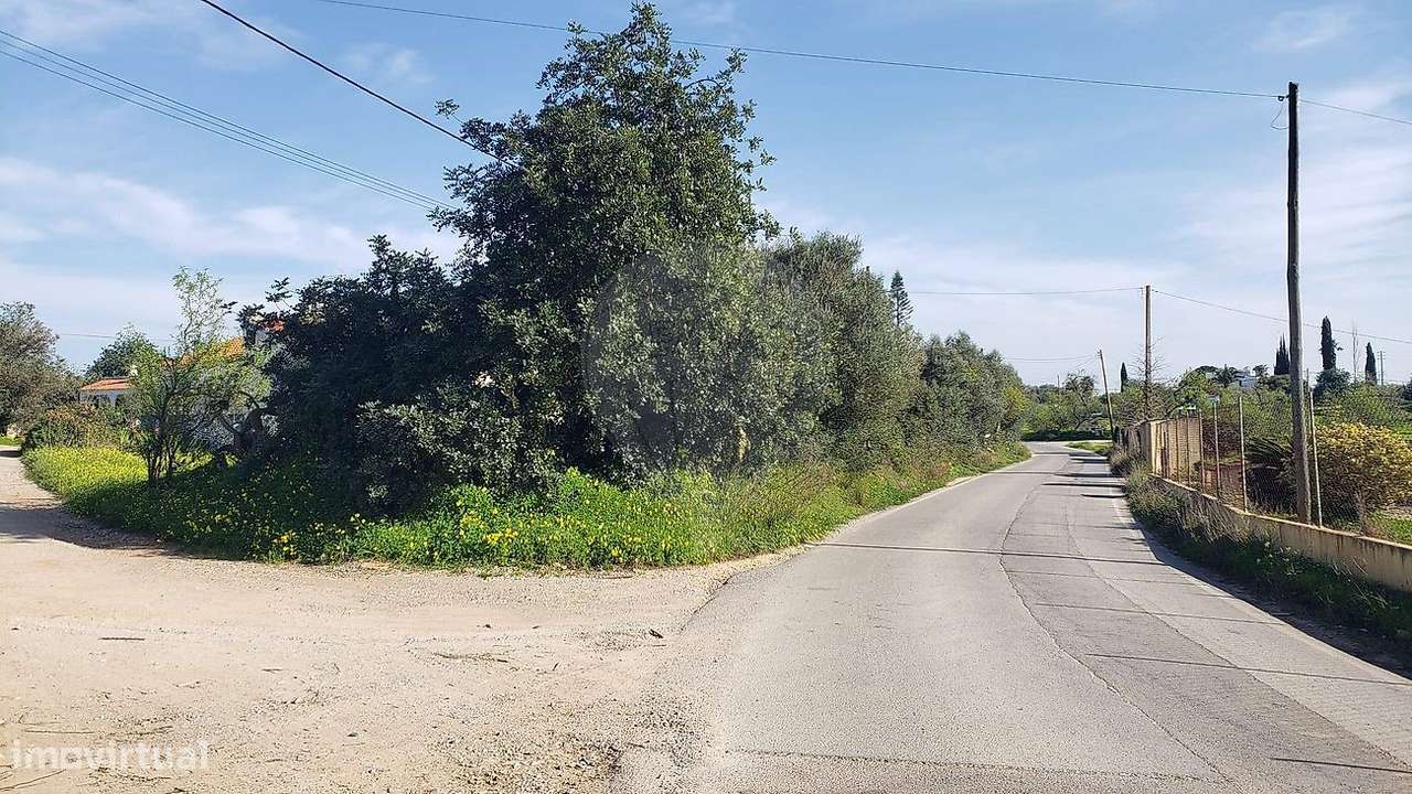 Terreno  para venda - Grande imagem: 4/4