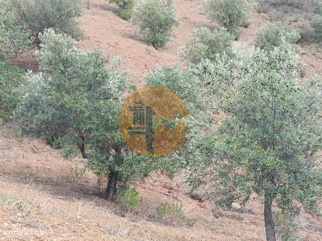 TERRENO RÚSTICO COM 5.640 M2 EM ALCARIAS GRANDES - CASTRO...