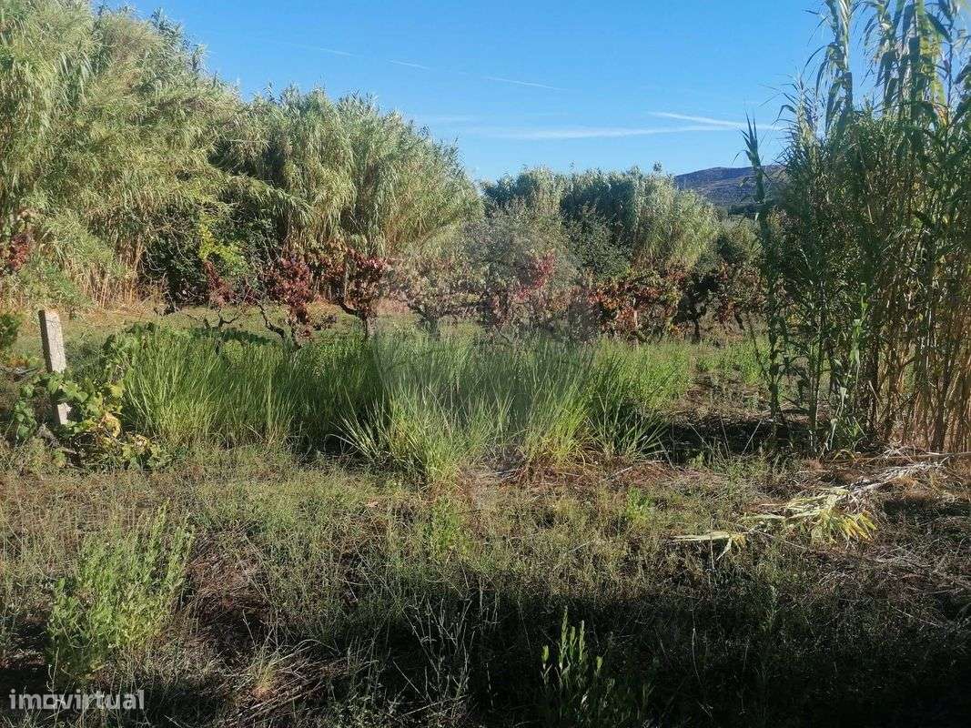 Terreno  para venda - Grande imagem: 5/5