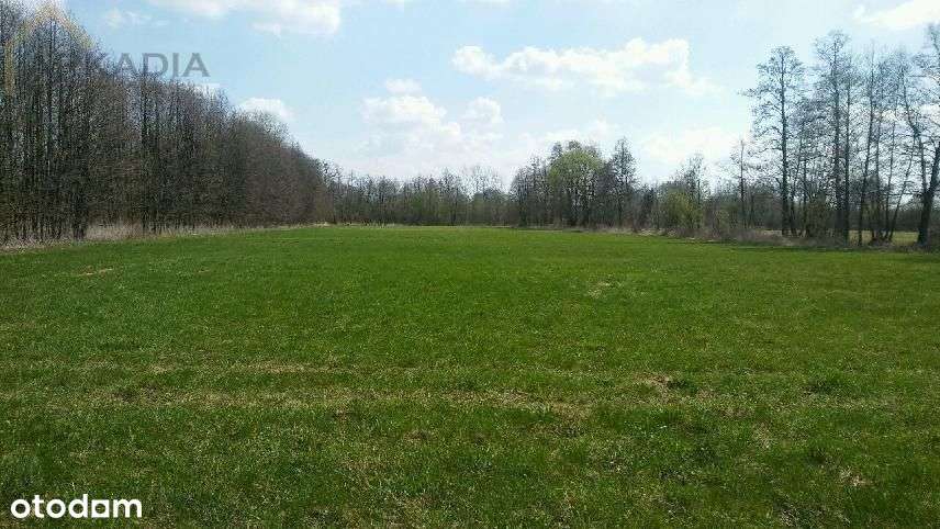 Duża działka siedliskowa w dobrej cenie-1