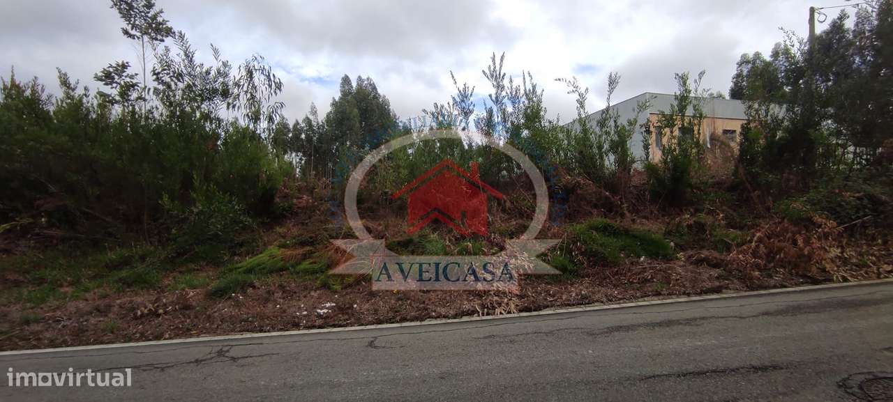 TERRENO PARA ARMAZÉM - Grande imagem: 5/7