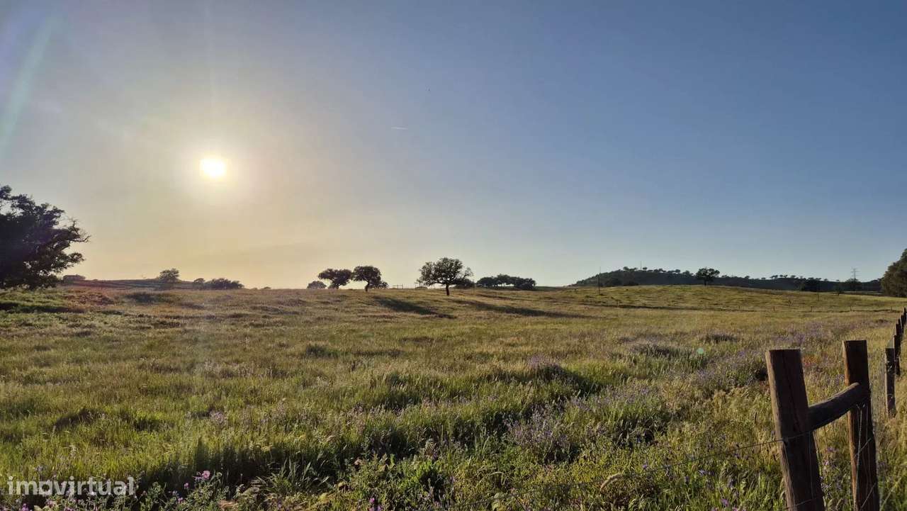 Casa senhorial privada com piscina em mais de 5 hectares.-46