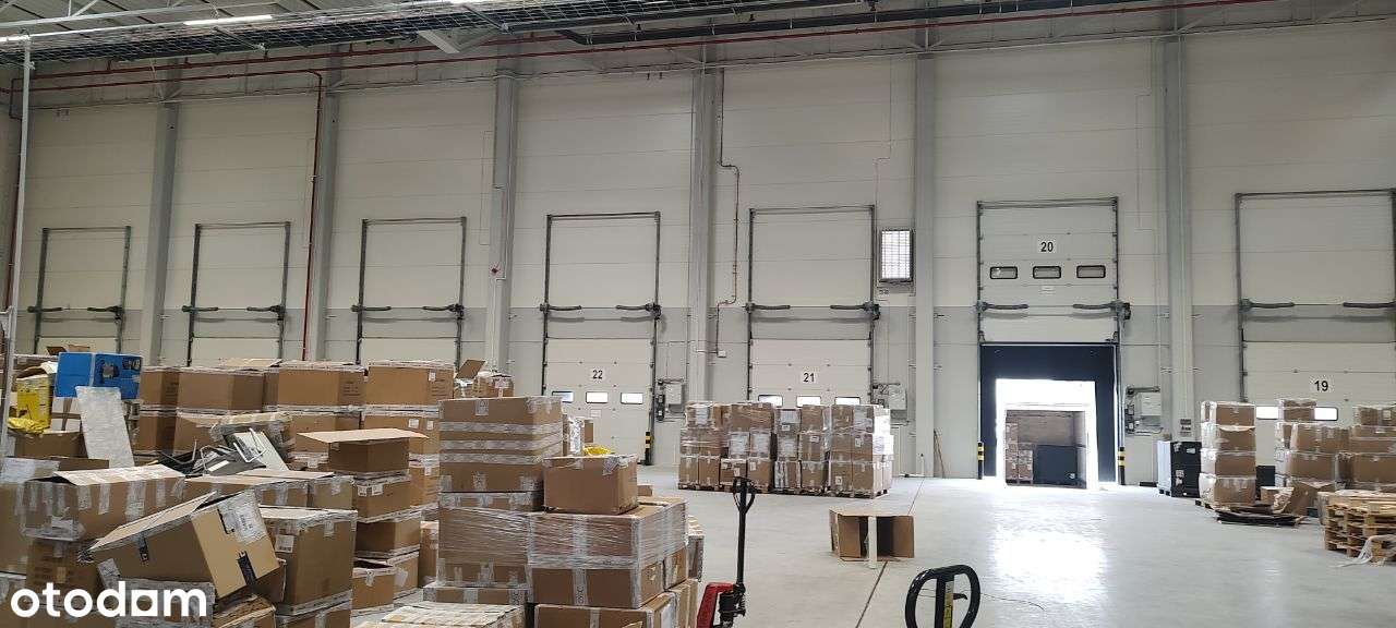 Bydgoszcz ul. Mokra Magazyn do wynajęcia 6050m2 - Pełny obrazek: 5/9