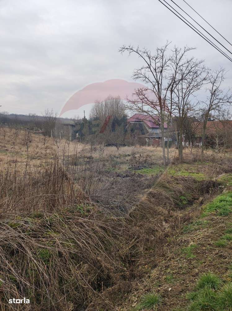 Teren 2.341 mp Uileacu de Munte front 25 ml la drum asfaltat - Imagine principală: 4/16