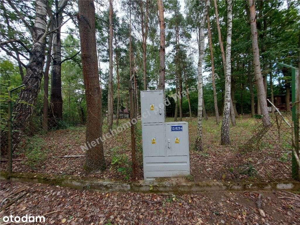 Cisza, Zieleń, Rzeka I Ona - Działka W Łosiu.-6