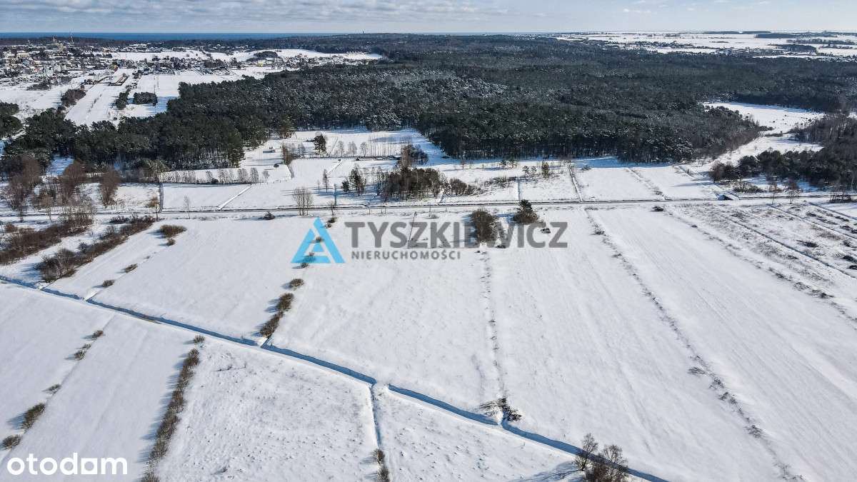 działka rolna | 0,3001 ha | Tupadły | morze | las - Pełny obrazek: 5/18
