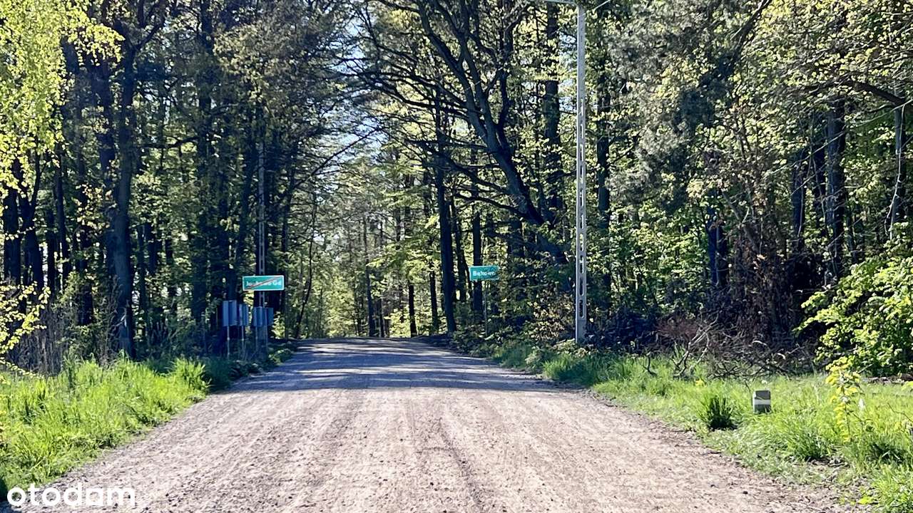 3 pokoje| wysokie sufity 2,90| garaż-7