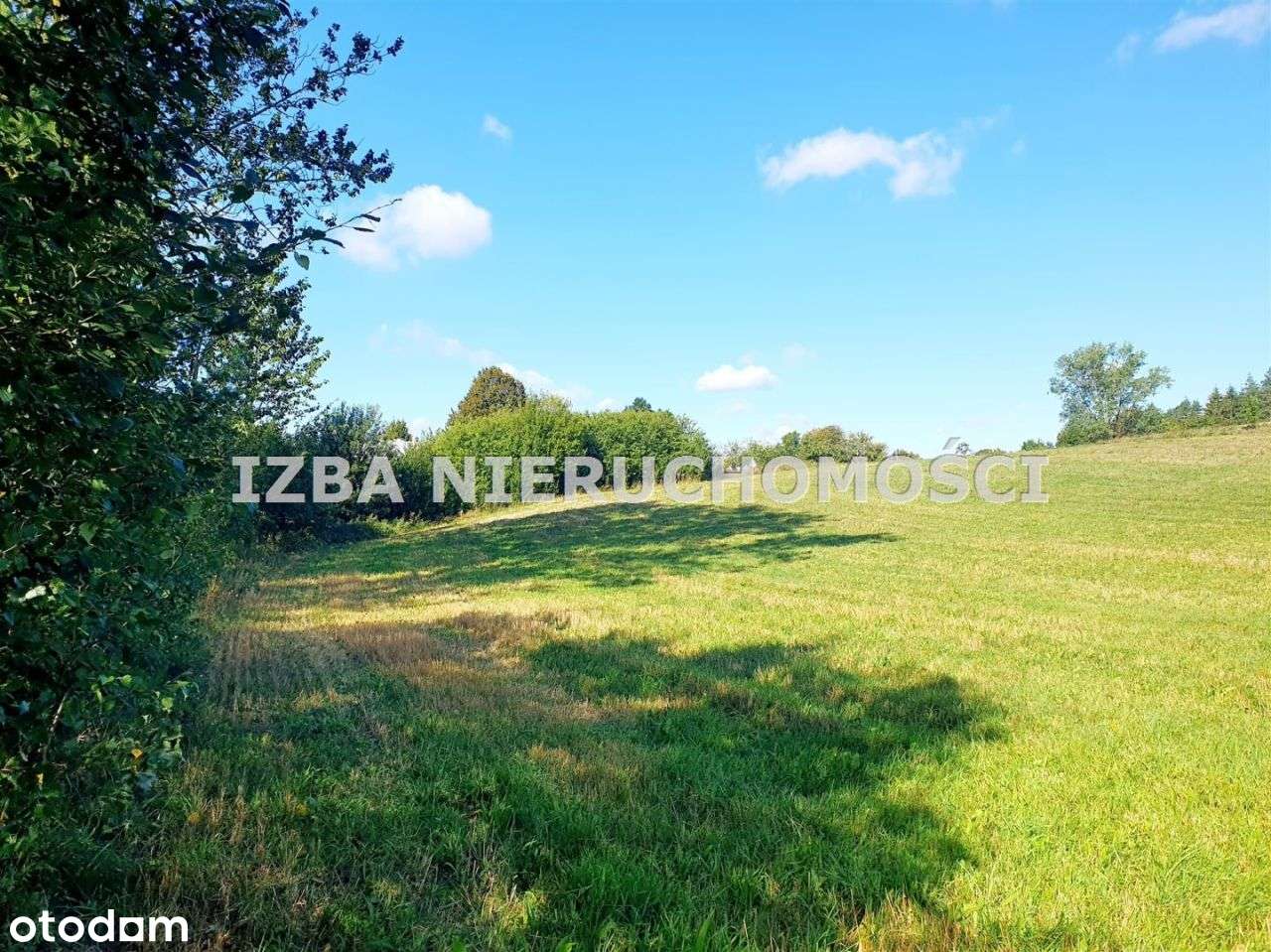 Działka, 88 000 m², Czaple-8