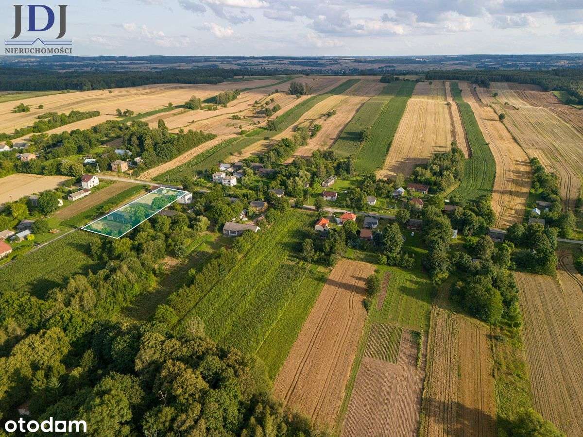 DZIAŁKA 30 AR Z BUDYNKIEM GOSPODARCZYM. CHEŁMIEC - Pełny obrazek: 3/6
