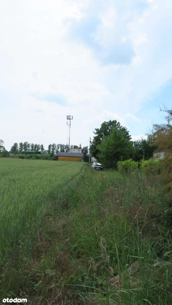 Atrakcyjne, duże działki – południowy Poznań, doskonała komunikacja-4