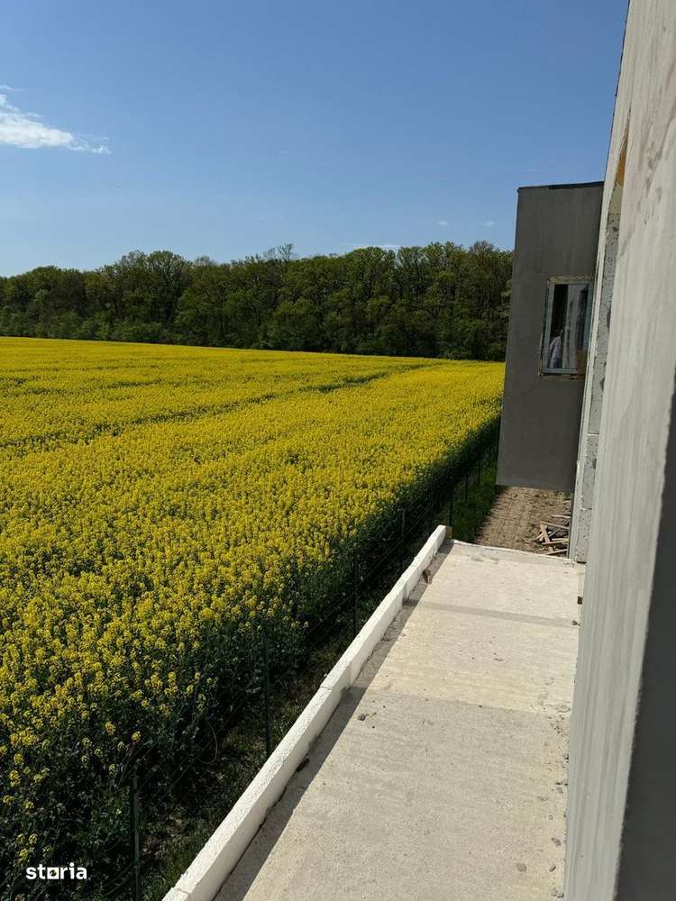 Vile Individuale Noi 4 camere Snagov Ghermanesti-11