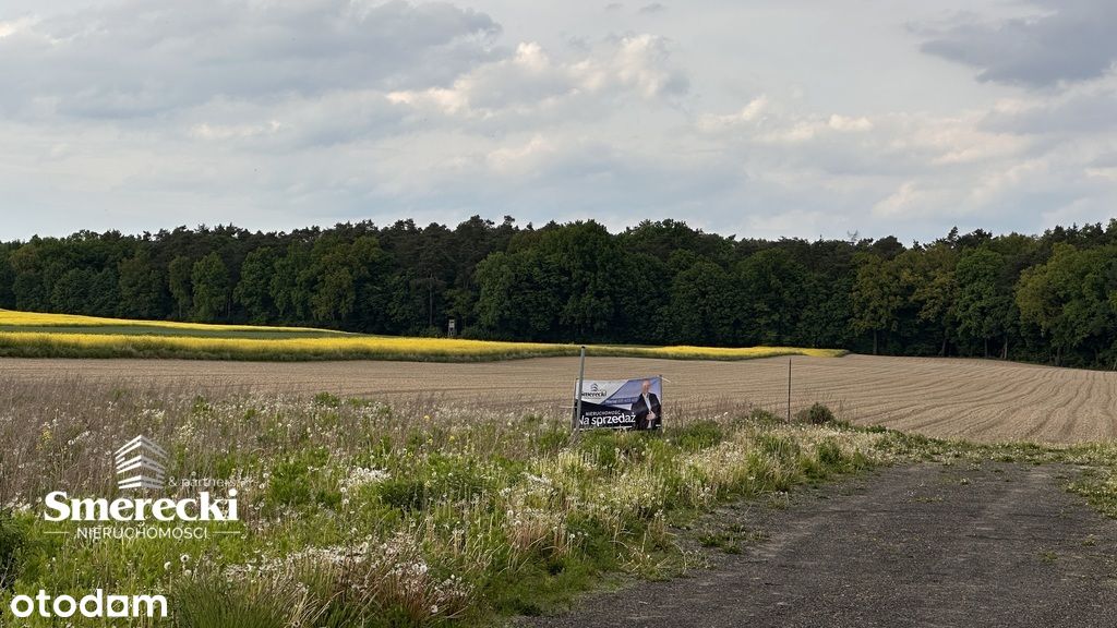 Działka z pięknym widokiem na las