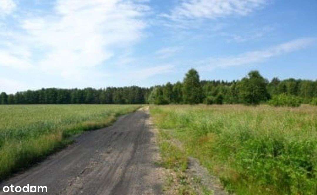 Działka siedliskowa 3130 m2 .Las. Morze. Nad rzeką-8