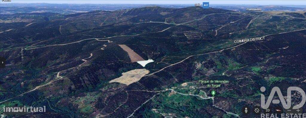 Terreno Agrícola em Espinhal de 8550,00 m2 - Grande imagem: 4/12