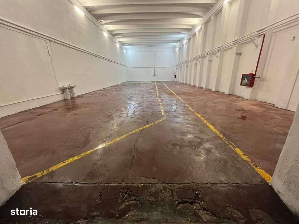 Hale de inchiriat - Imagine principală: 2/5