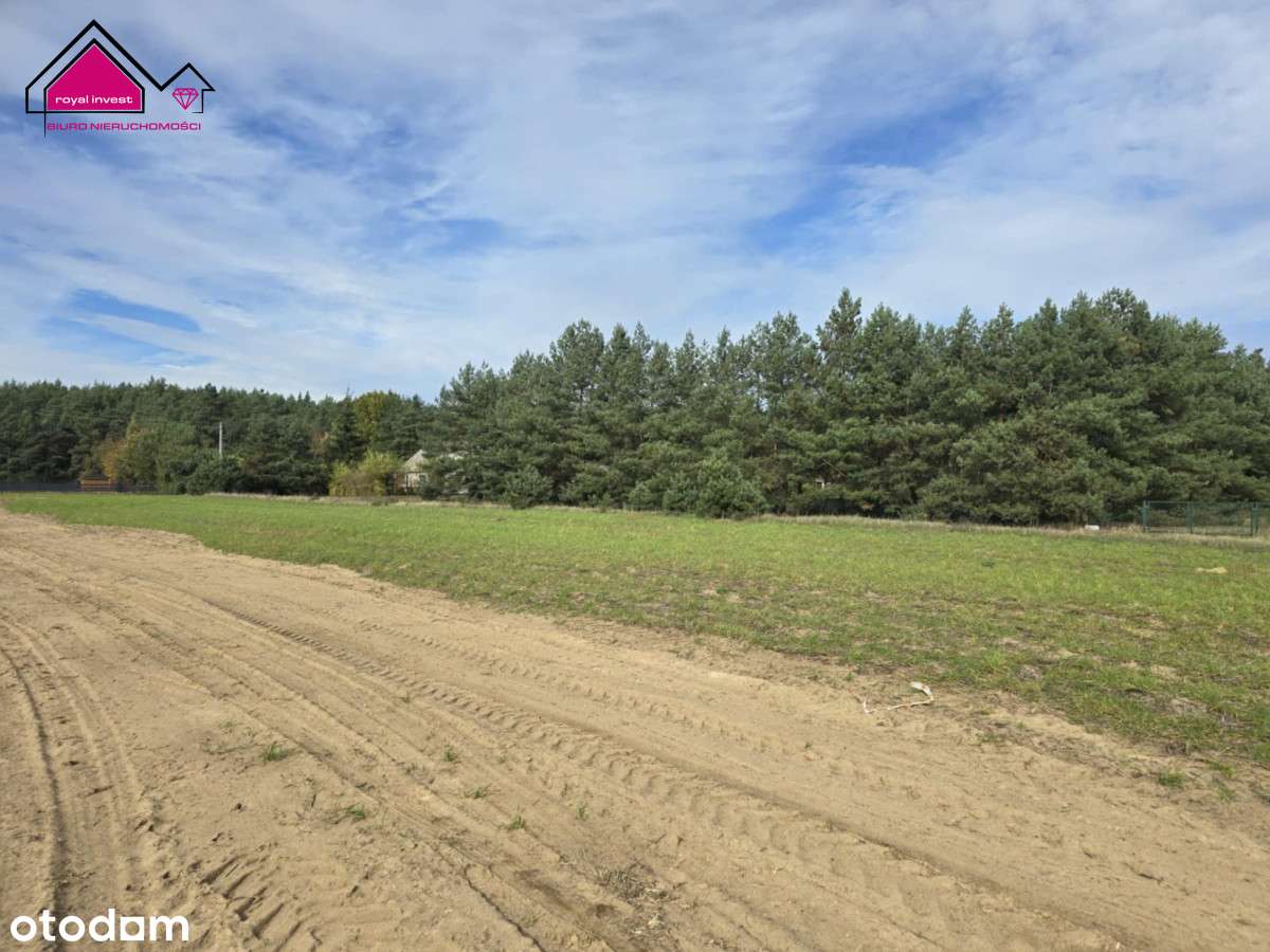 Działka rekreacyjna przy lesie Adamowo gm. Kleczew-6