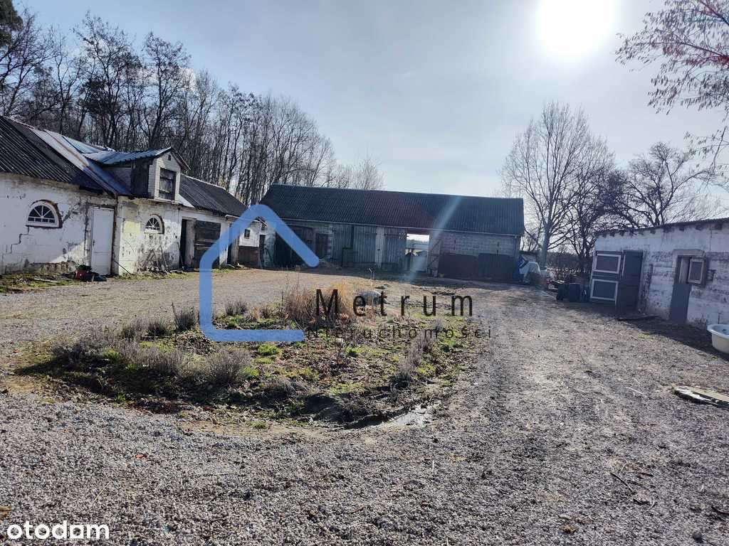 Działka Nowe Racibory-  60 159m2!-6