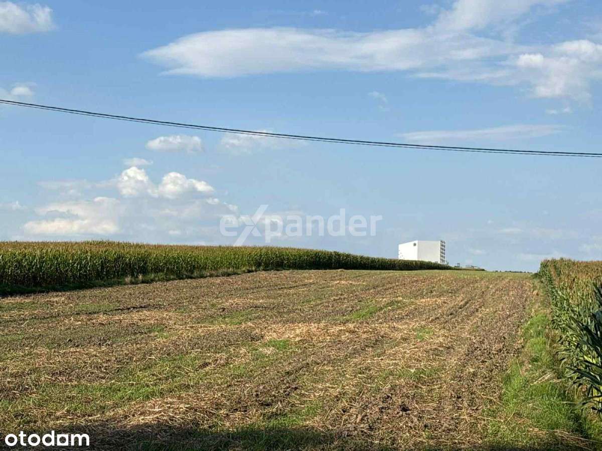 ex201195 - Pełny obrazek: 4/8