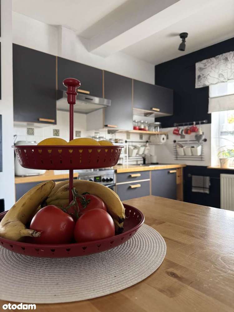 Zaczarowany ogród pod Wojciechowem - garaż, warsztat, piwniczka/schron-3