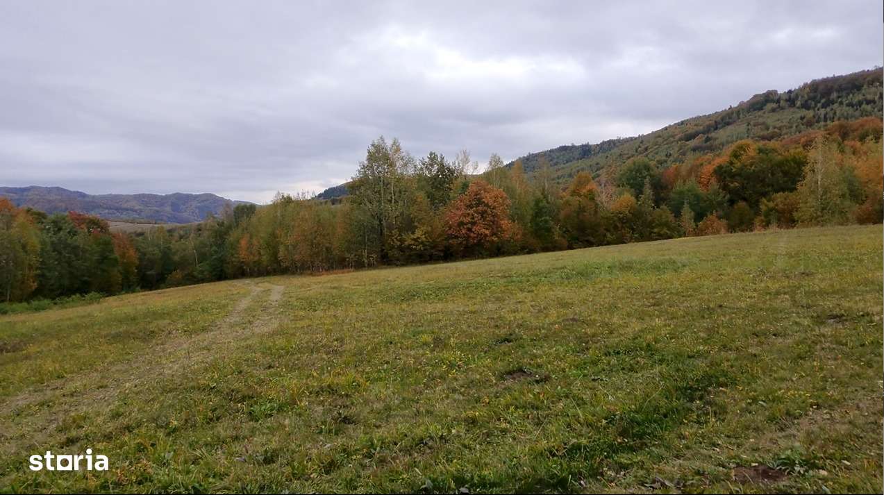 Teren cu energie specială/Fagaras/Plata in max 3 rate-7