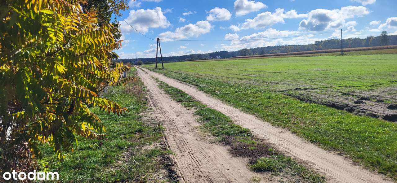 Działka z warunkami zabudowy Wilków gm. Dalików - Pełny obrazek: 3/20