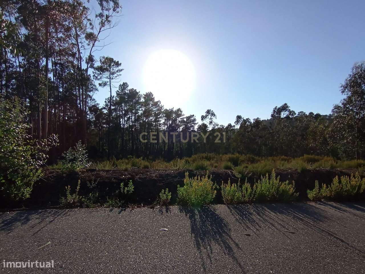 Terreno para Construção – Oportunidade Única! - Grande imagem: 1/8