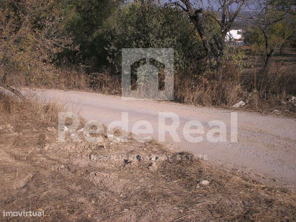 Terreno rústico, Loulé - Grande imagem: 5/11