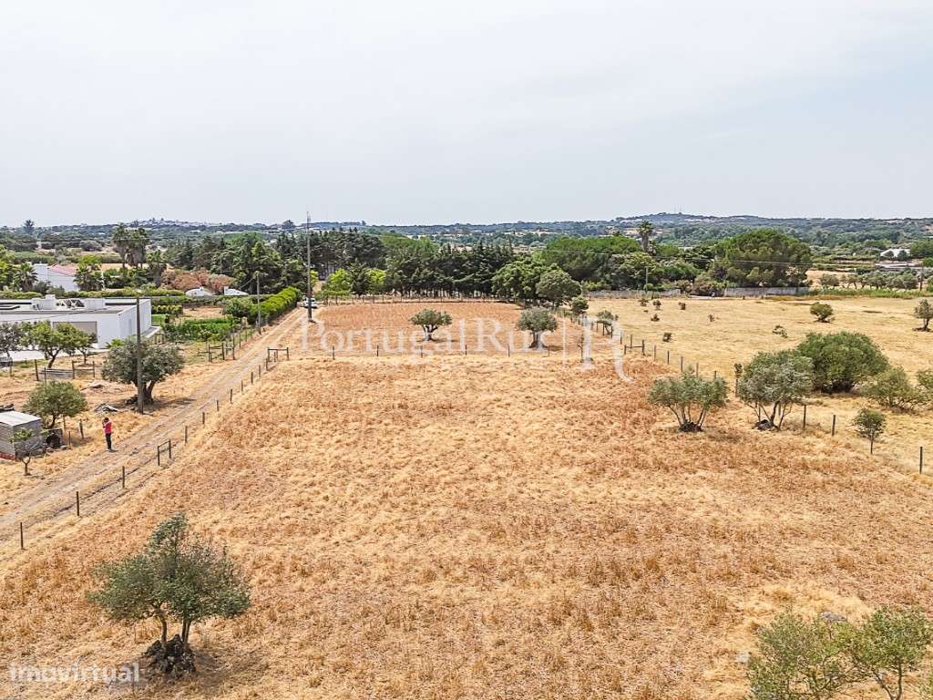 Encantadora quintinha alentejana-6