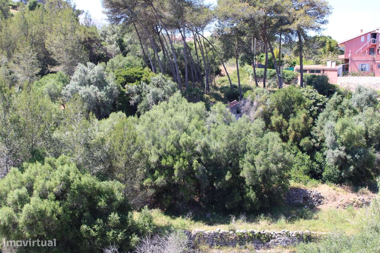 Terreno misto em Cascais - Grande imagem: 5/58