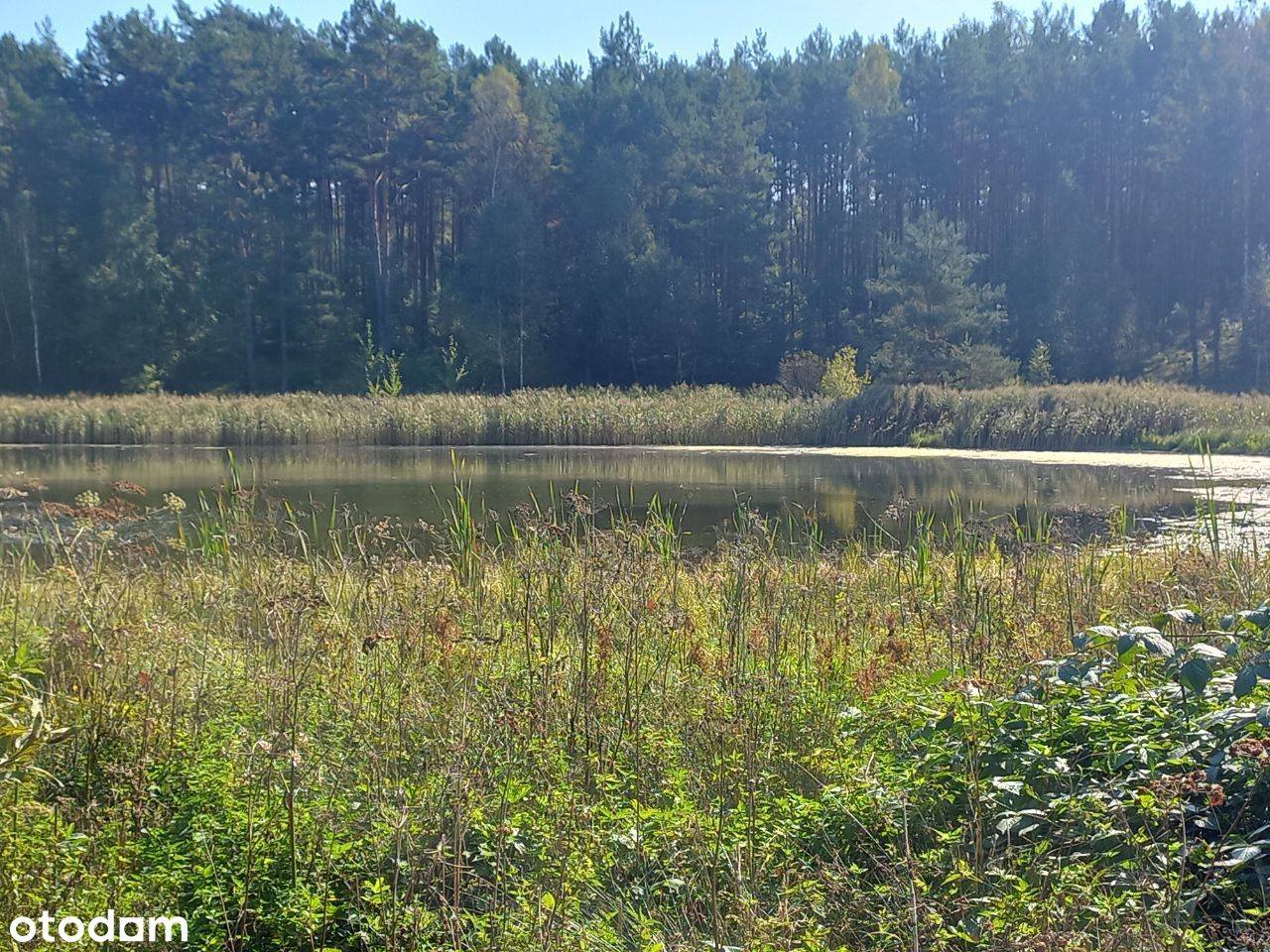 działka, teren na posiadłość 4,62 ha, war. zabudow