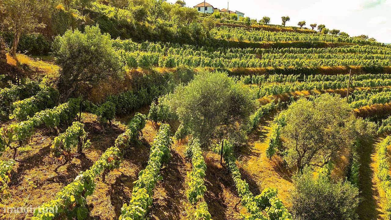 Quinta  para venda - Grande imagem: 5/28