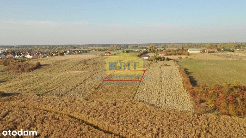 Działka budowlana o pow. 1465. m2 w Złocieńcu - Pełny obrazek: 5/14