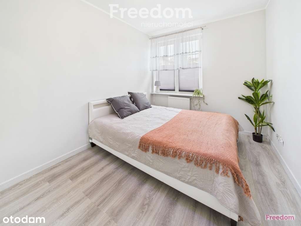 Dwupokojowe mieszkanie w Centrum Koszalina - Pełny obrazek: 2/15