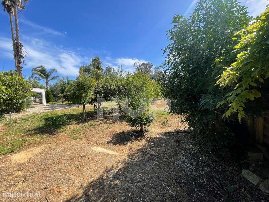 Quinta com 3 quartos e forno em Santa Bárbara de Nexe, Faro.-33