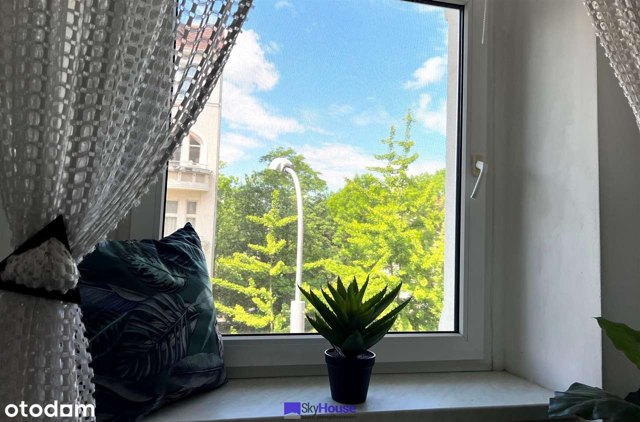 Ładne mieszkanie w kamienicy. Plac Grunwaldzki. Blisko Park Tołpy-0