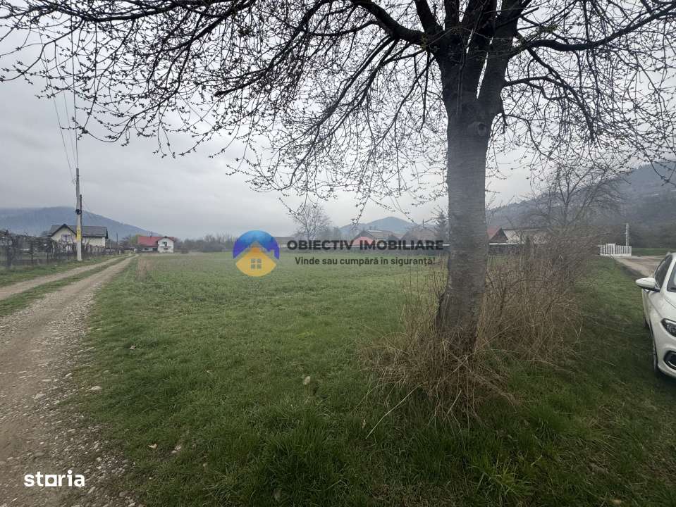 Teren 1200 mp Vadurele - comuna Alexandru cel Bun , cu utilitati-2