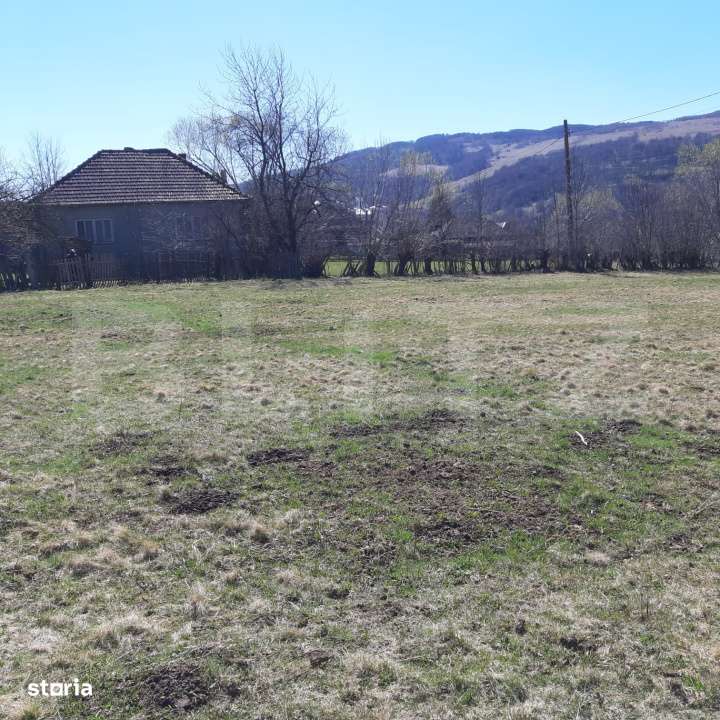 Teren extravilan 1.000 mp Valea Draganului - Imagine principală: 3/3