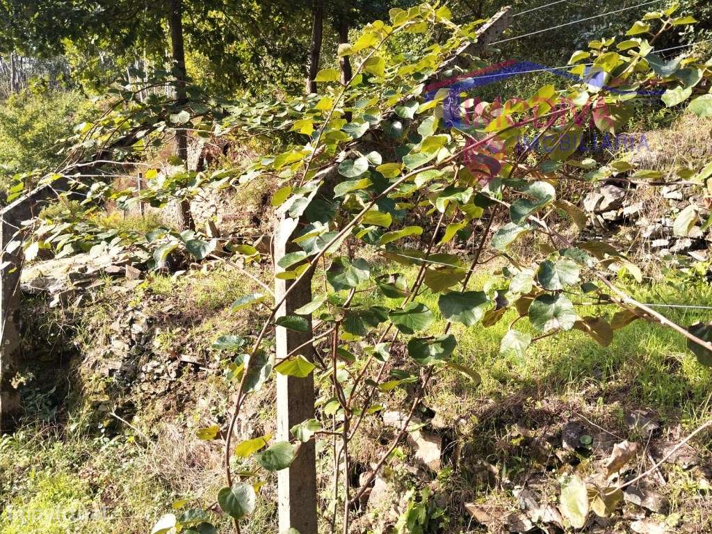 Terreno sustentável em Graça, Pedrogão Grande-19