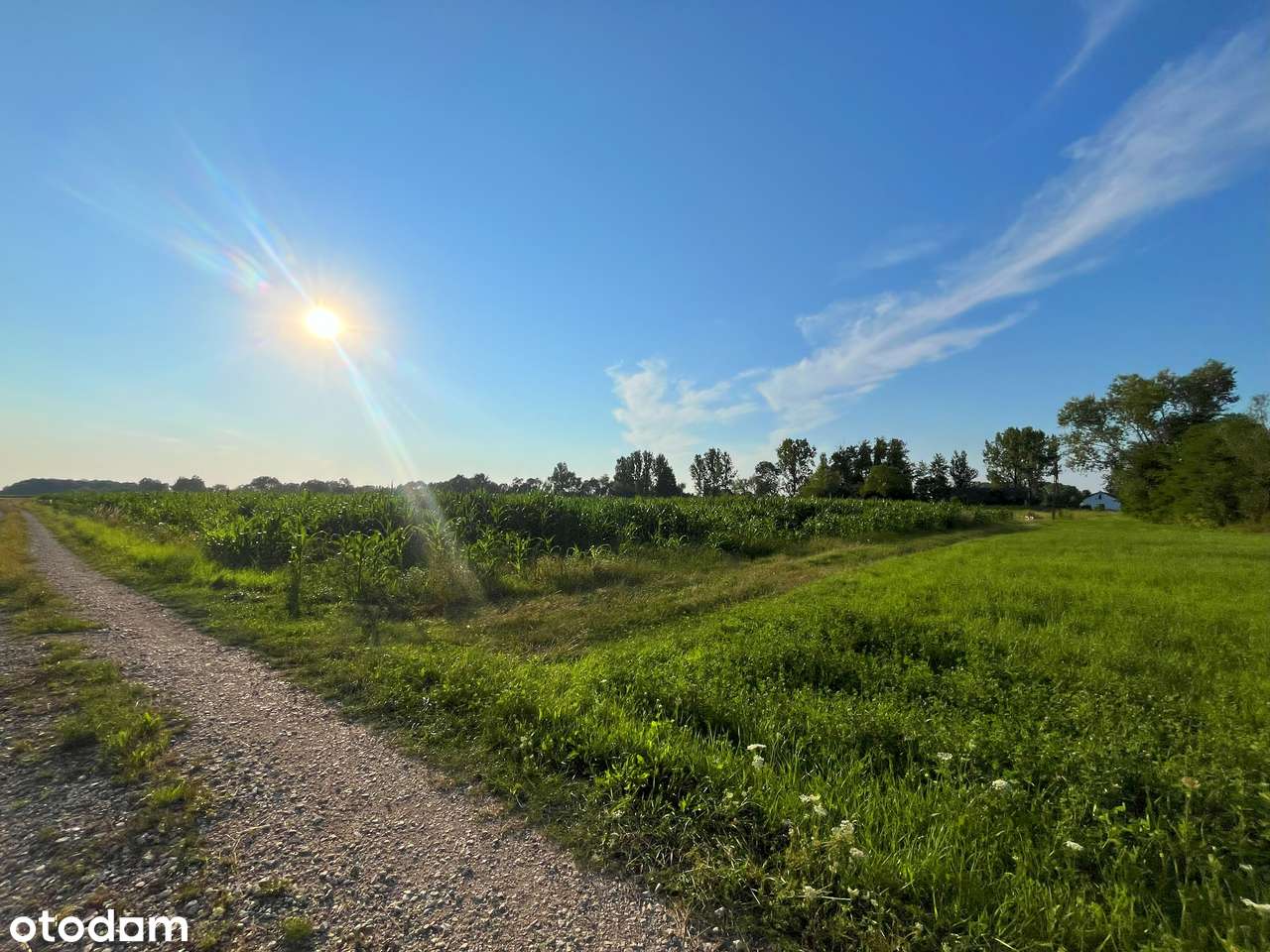 Żabiec - działka z możliwością zabudowy-3