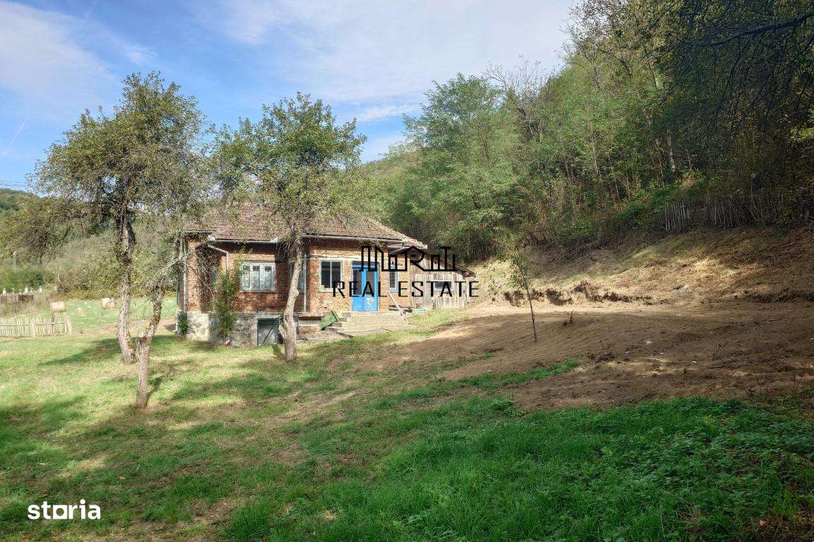 Teren, padure si casa in Dumbrava de Jos, jud. Hunedoara-16