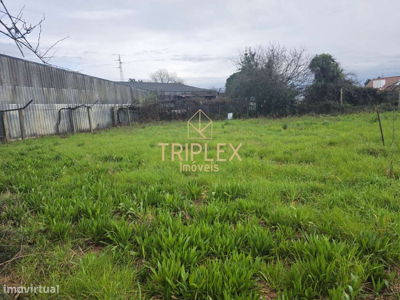 Terreno ao centro de Gueifães-7