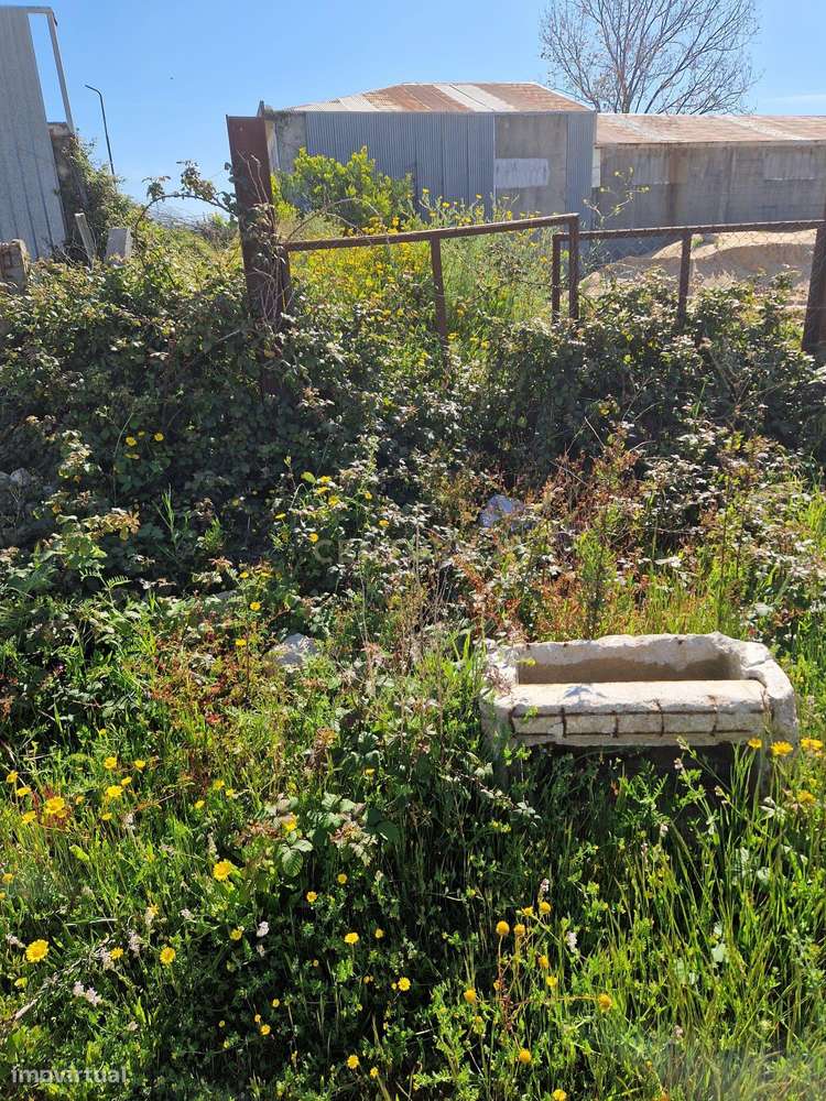 Terreno Rústico em Espinho - Oportunidade Única por 125.000€ - Grande imagem: 4/7