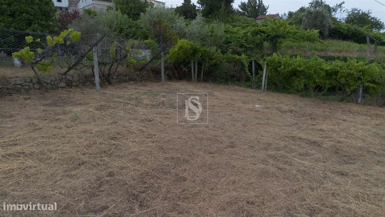 Terreno Para Construção  Venda em Ancede e Ribadouro,Baião-20
