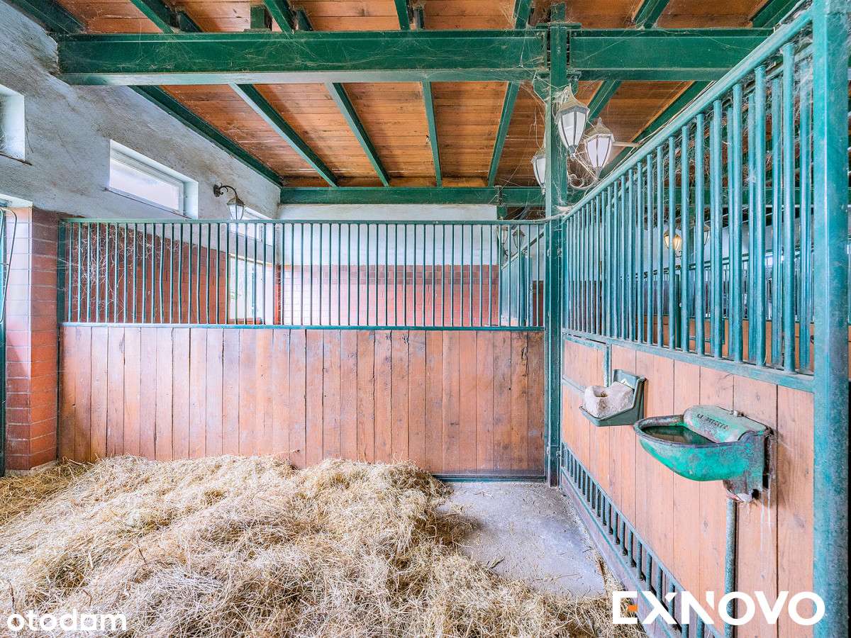 Siedlisko ze stajnią na 4-ha działce na Kaszubach.-10