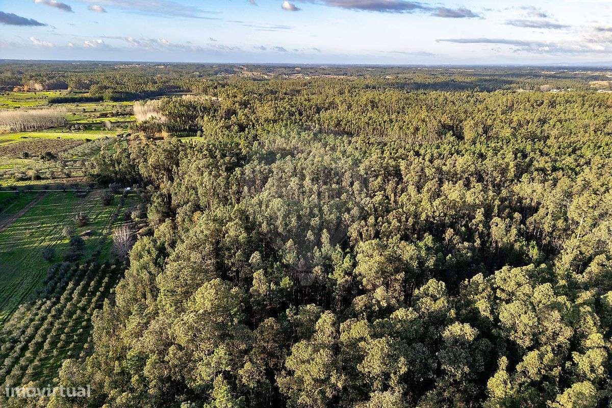 Terreno  para venda - Grande imagem: 5/11